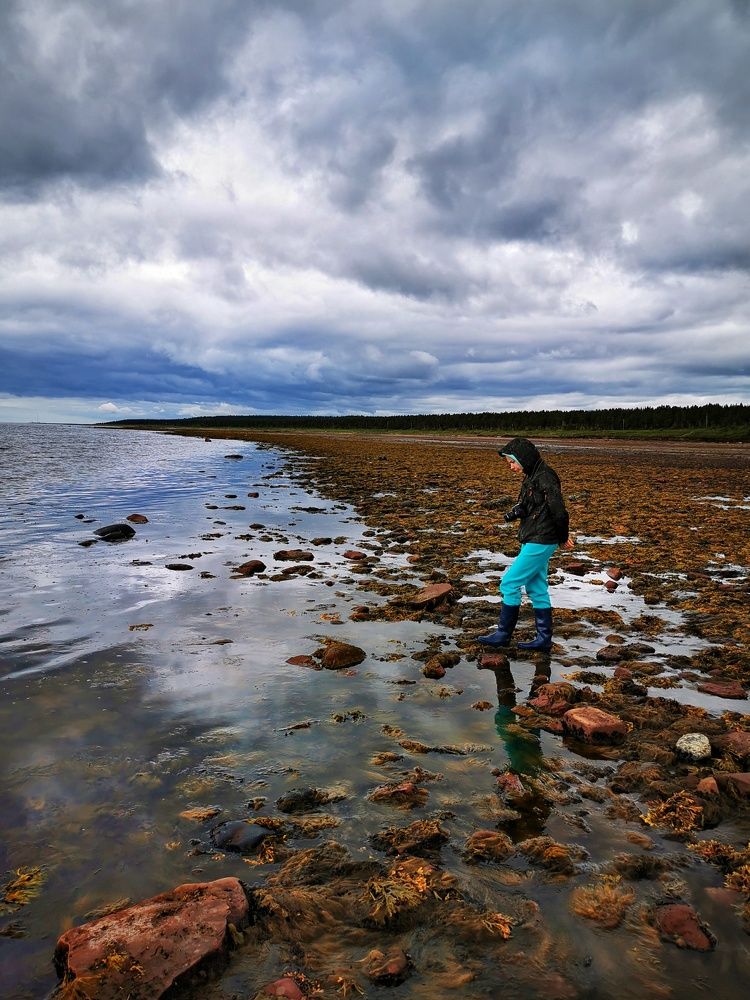 Photograph by Елена Артёменко