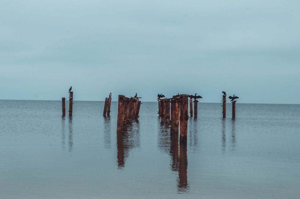 Photograph by Дмитрий Педченко