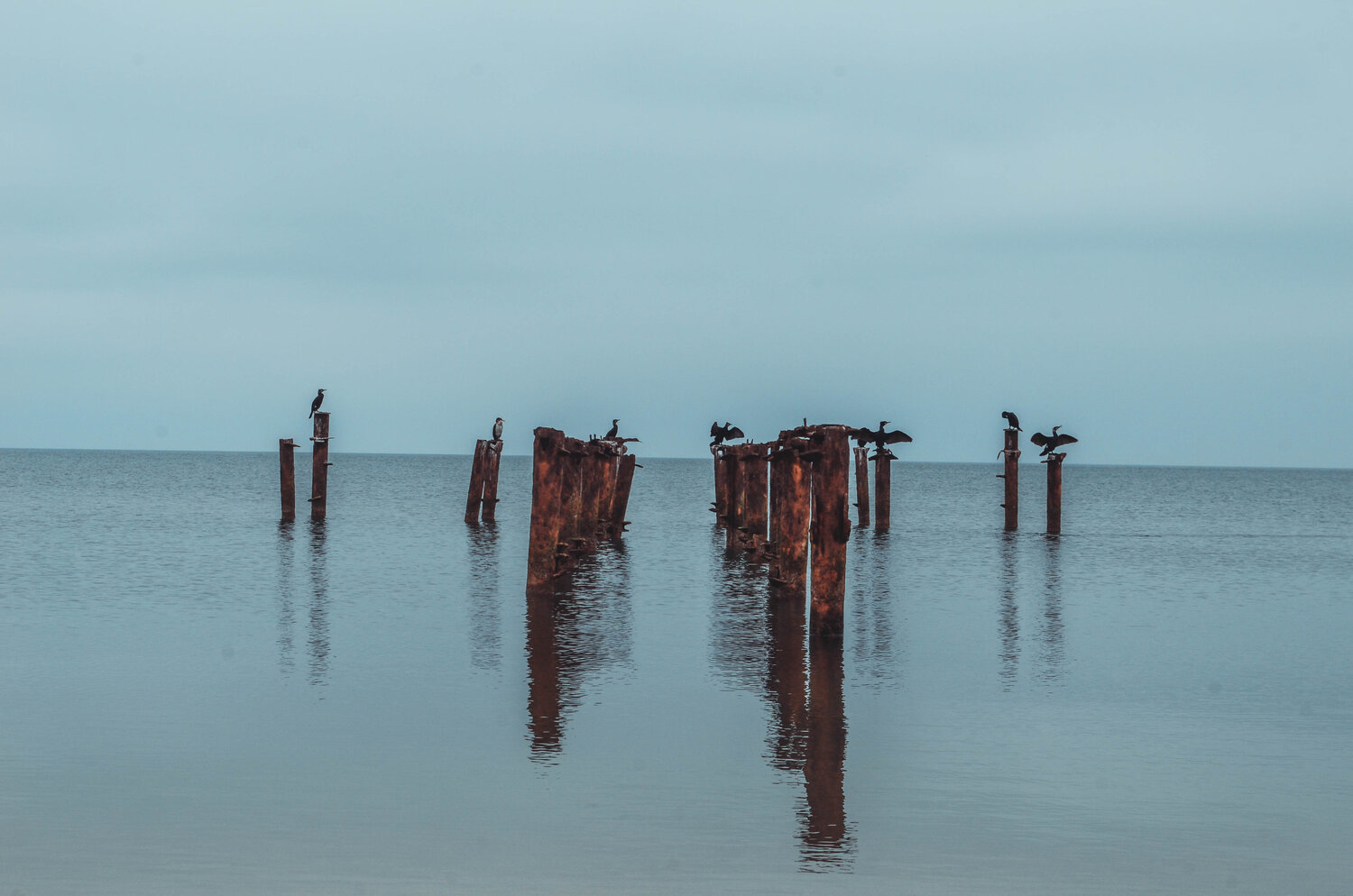 Photo #9400412