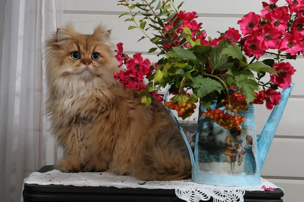 Август в деревне.