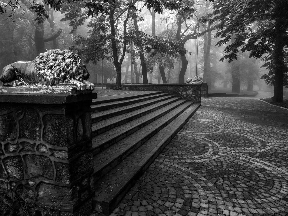 Photograph by Виталий Маслов