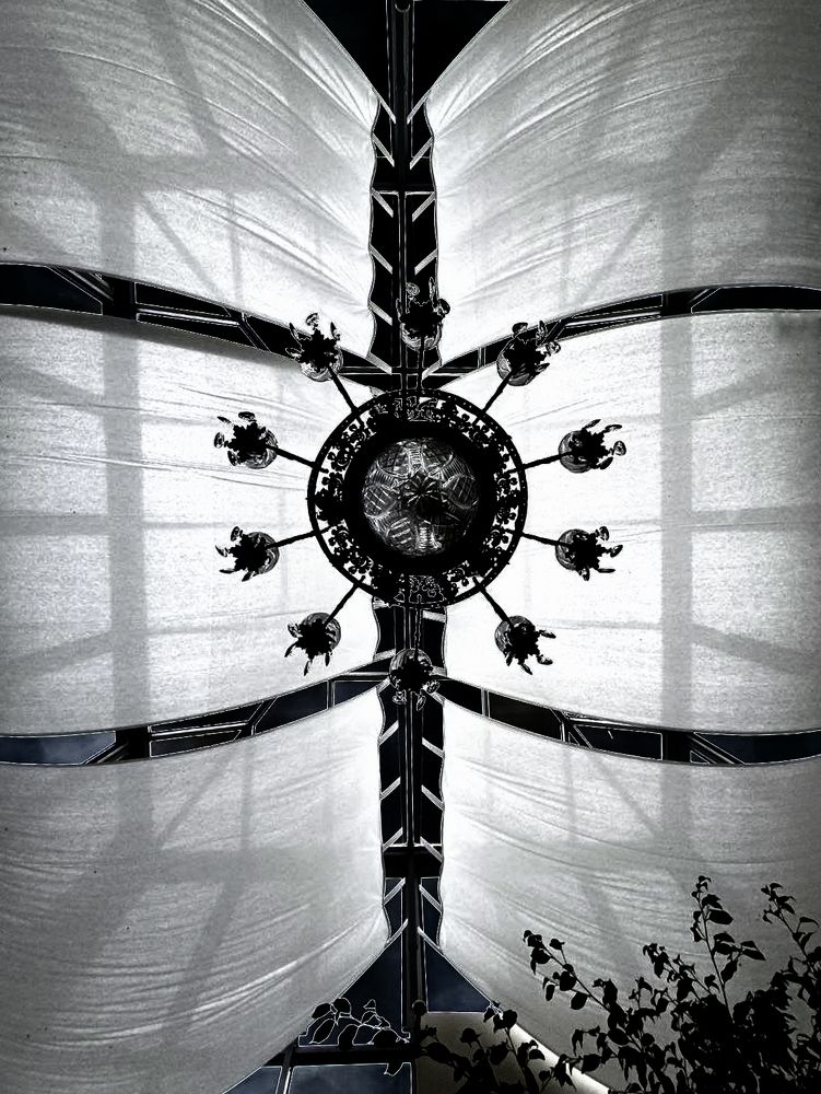 Photograph by Елена Лучшева