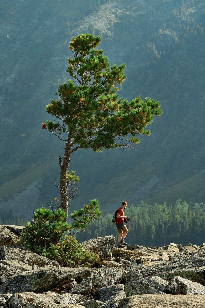 Фотография автора Siergiejevicz Mihail