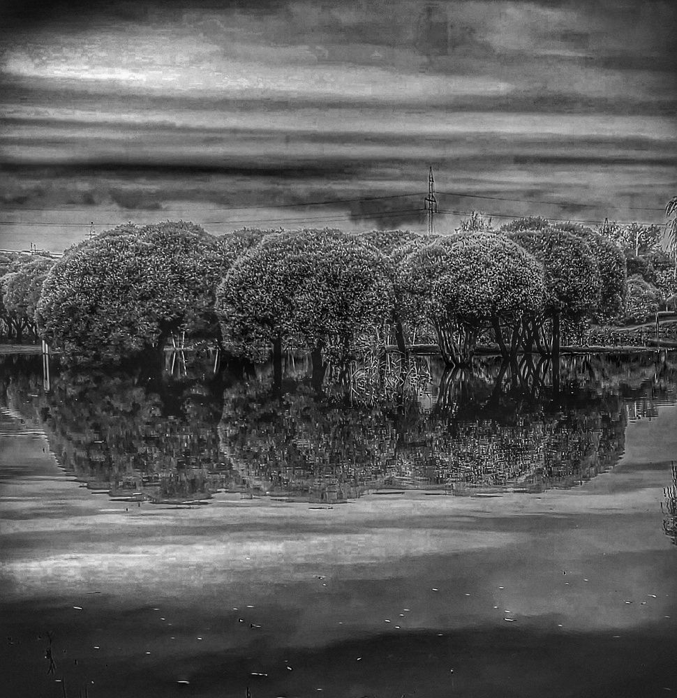 Photograph by Елена Пасажицкая