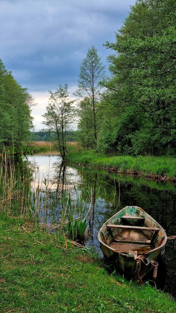 Photograph by Elena Tamošauskaite