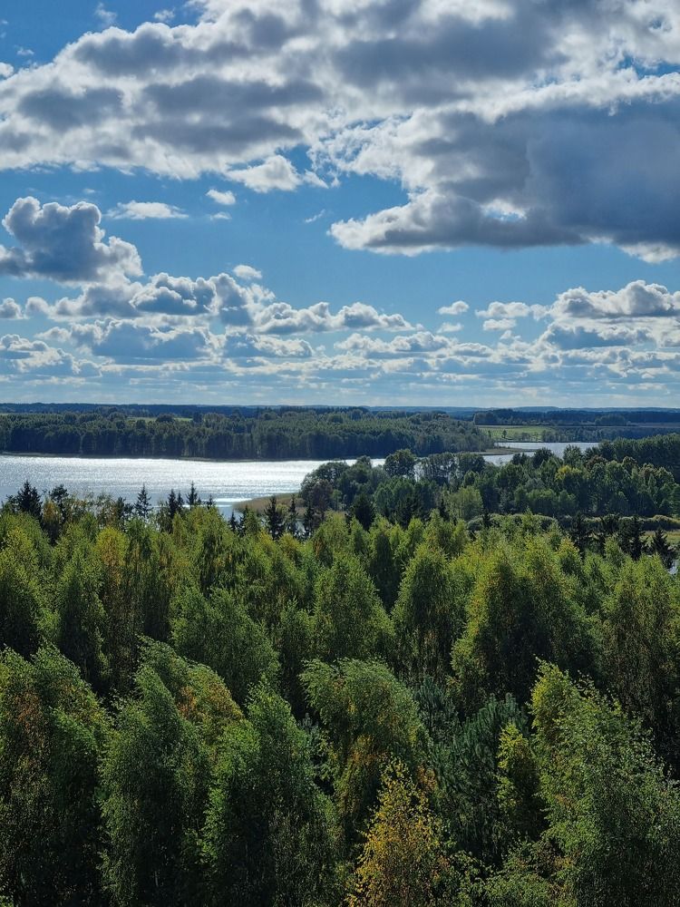 Photograph by Elena Tamošauskaite