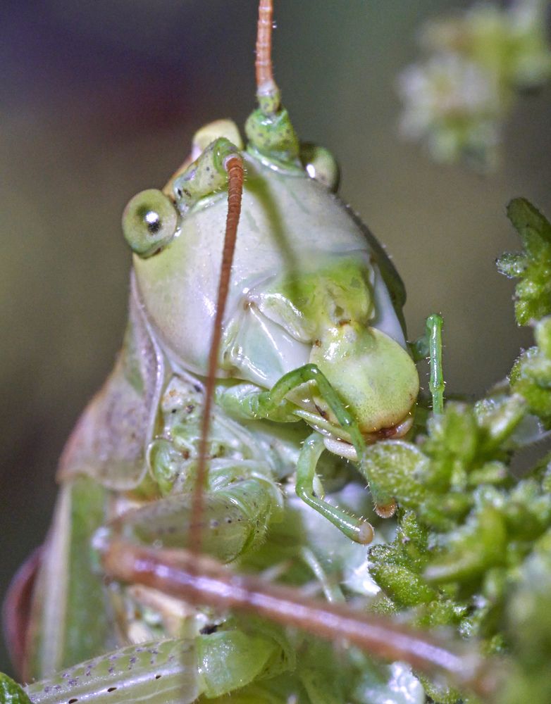 Photograph by Игорь Зиновьев