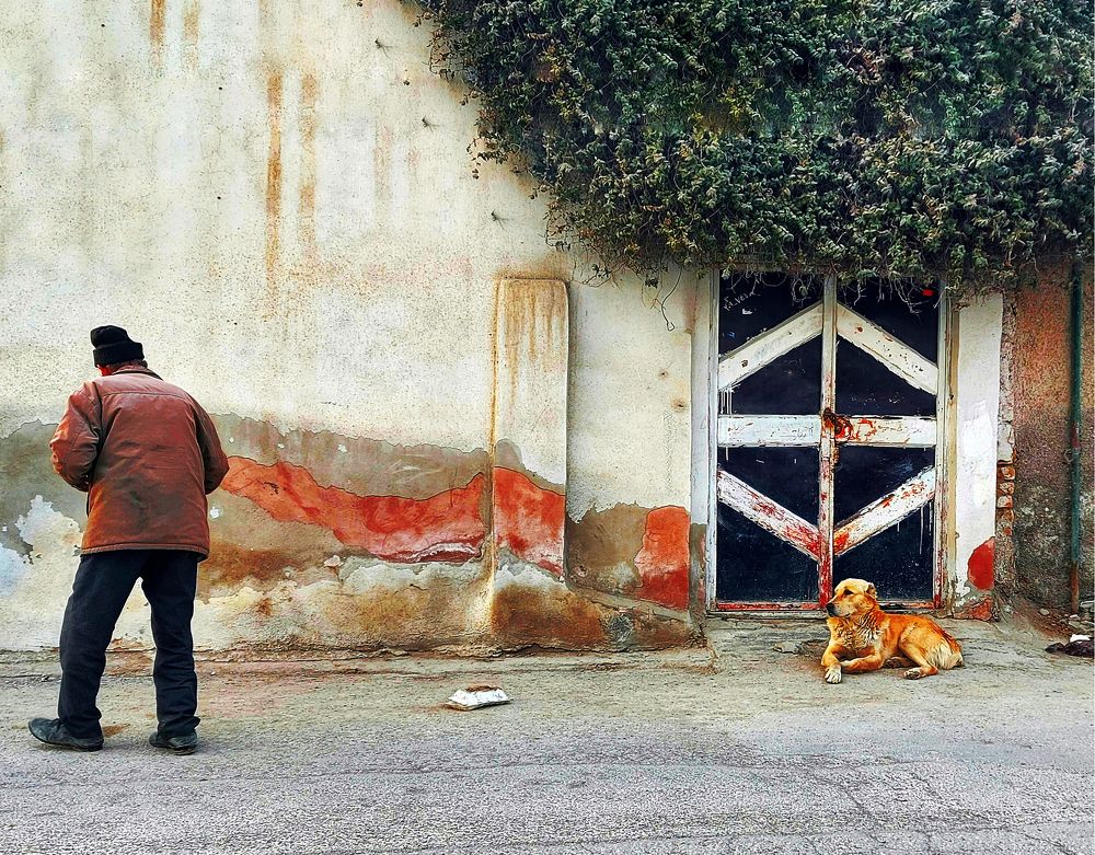 Фотография автора Mohammad davarpanah