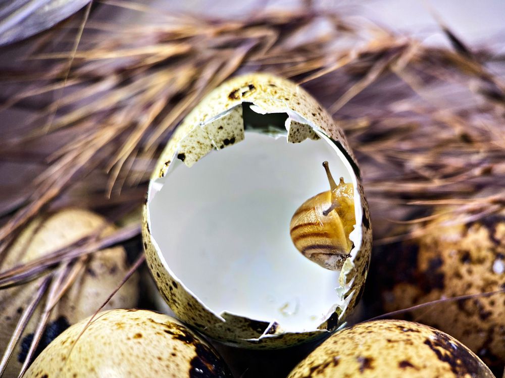 Photograph by Александра Гонтарь