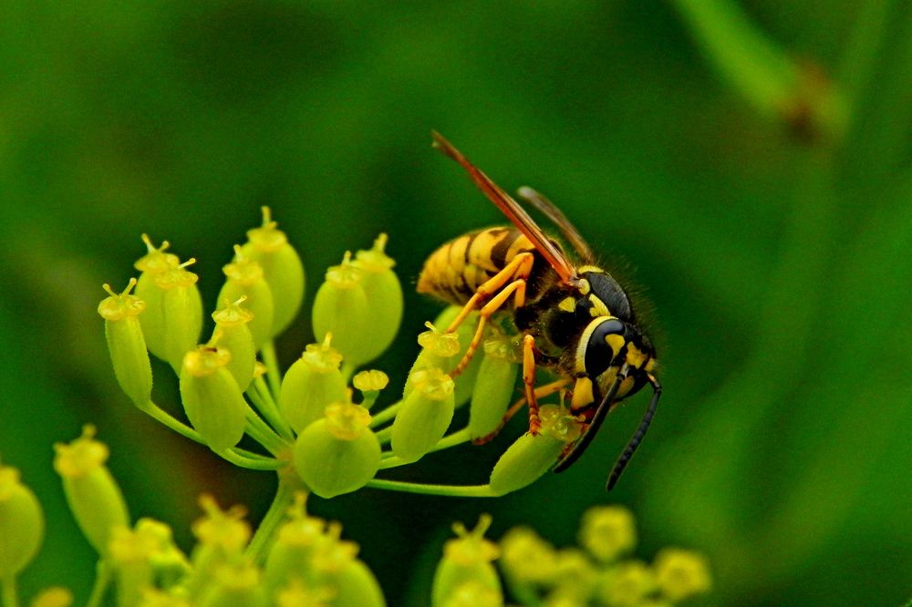 Photograph by Дмитрий Симагин