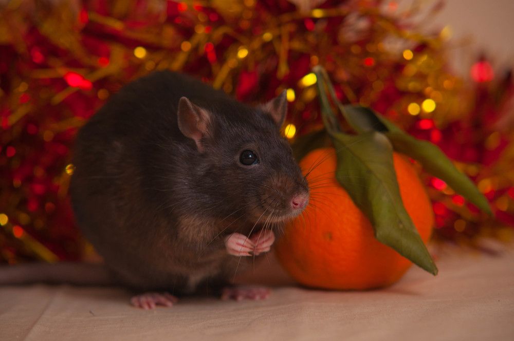 Photograph by Евгений Бесолов