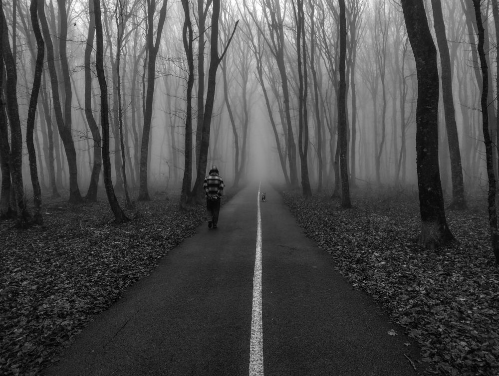 Photograph by Виталий Маслов