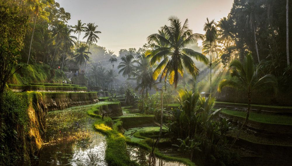 Photograph by Могилевич Elena