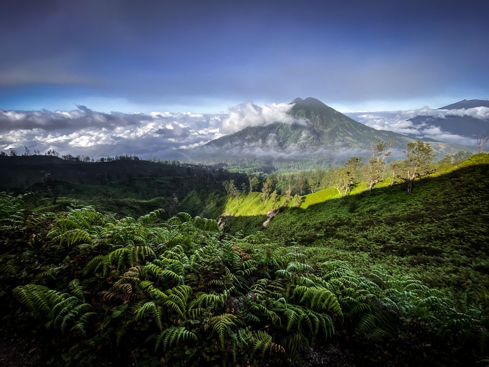 Photograph by Могилевич Elena