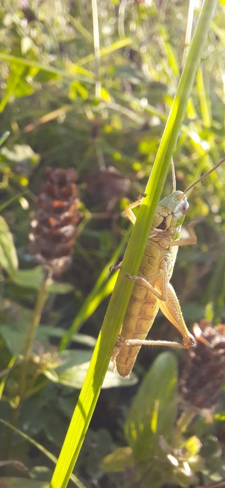 Photograph by Светлана Цапина