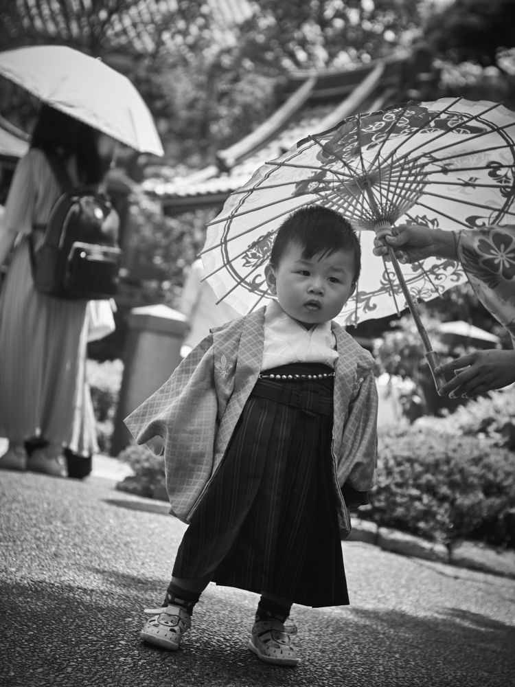 Photograph by nguyễn châu