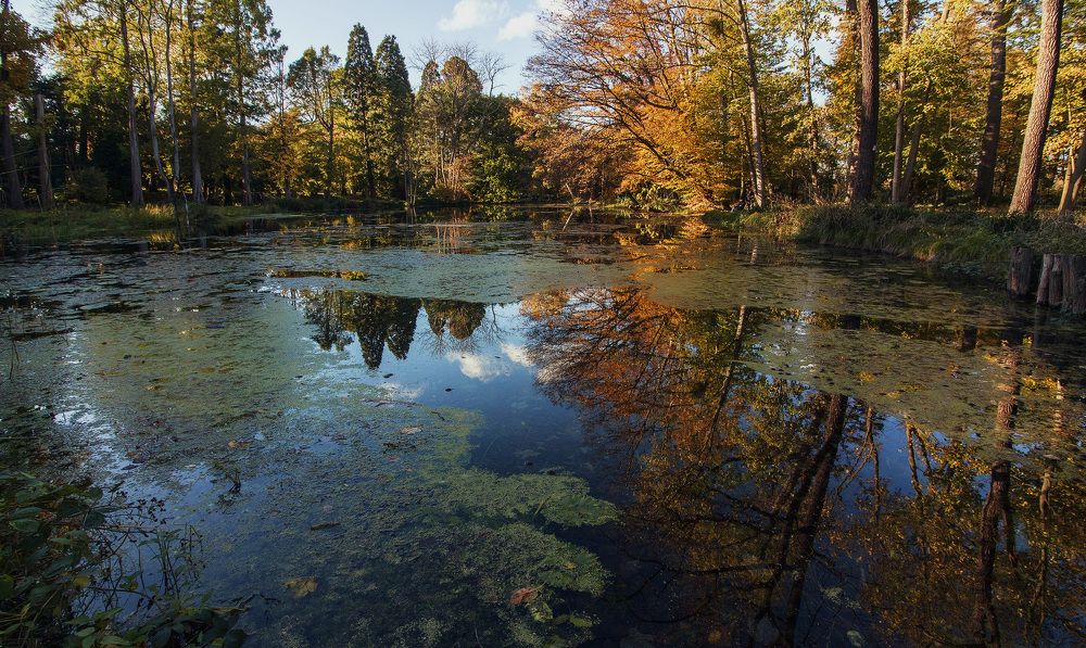 Фотография автора Александр