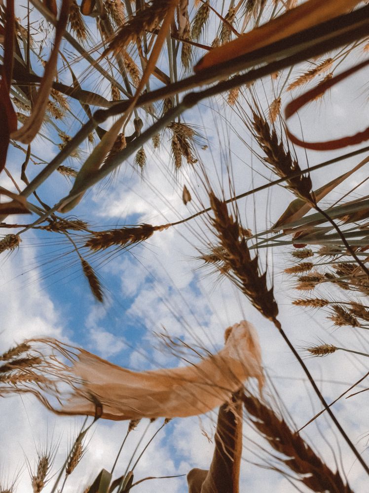 Photograph by Алия Латыйпова