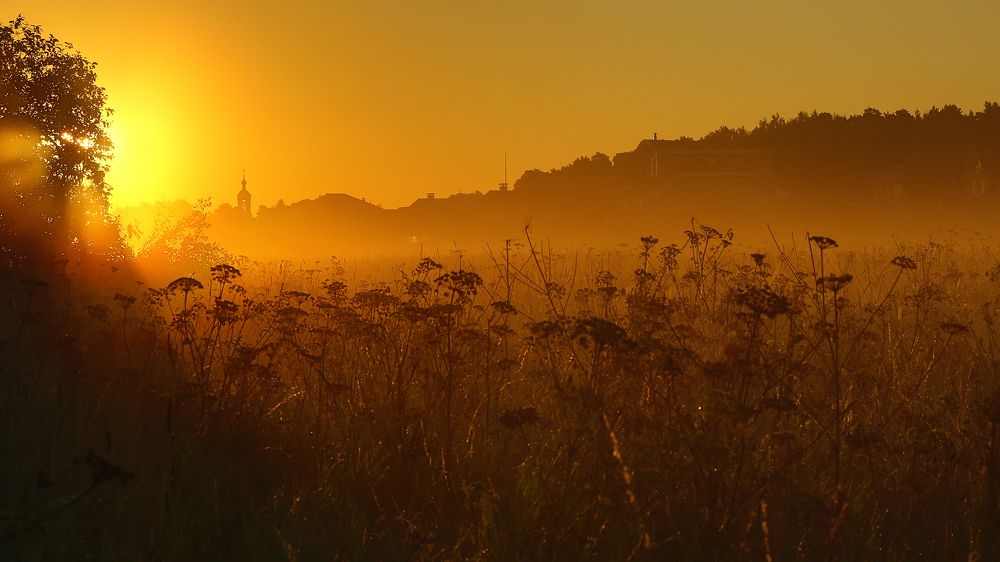 Photograph by Алексей Назаров