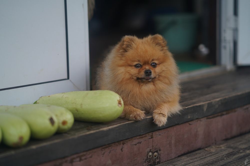 Photograph by Татьяна Андреевна