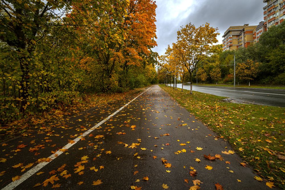 Photograph by Владимир Карпов