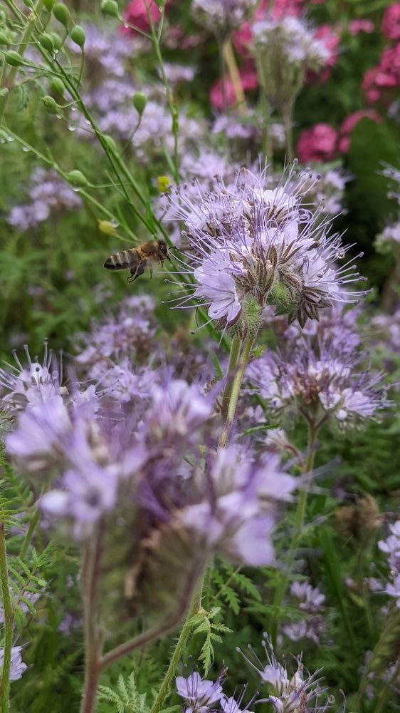 Фотография автора Васильева Ирина