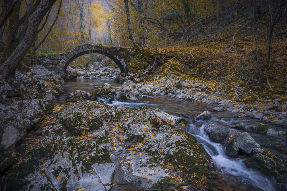 Photograph by Luca Menotti