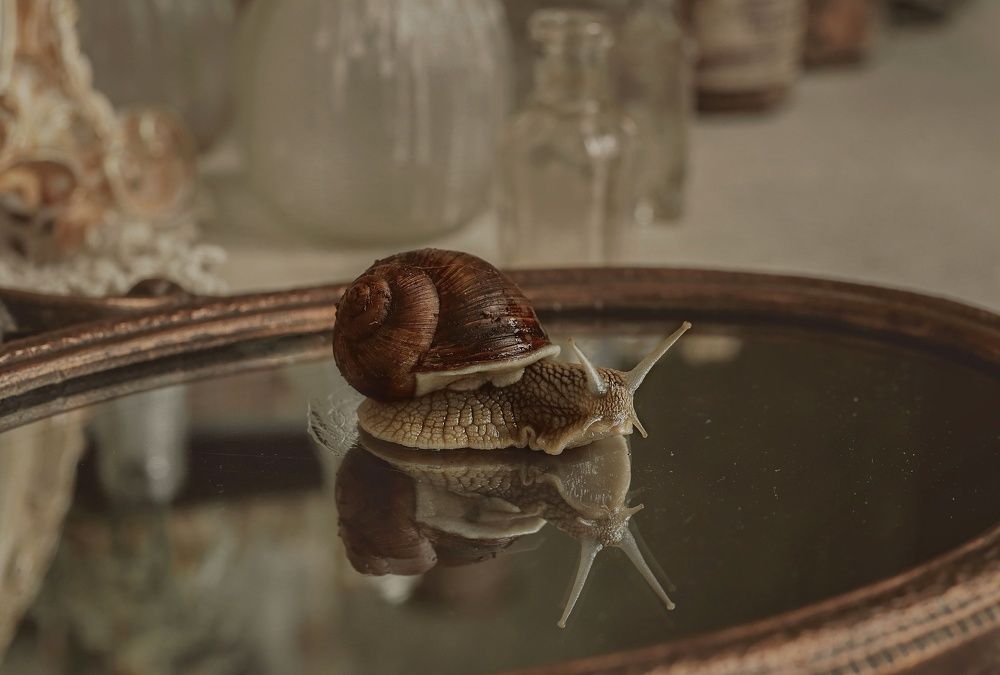 Photograph by Ирина Столбовая