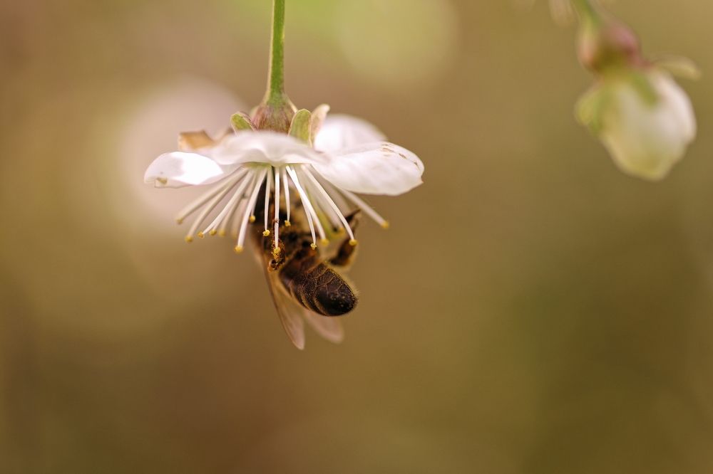 Photograph by Светлана Богомолова