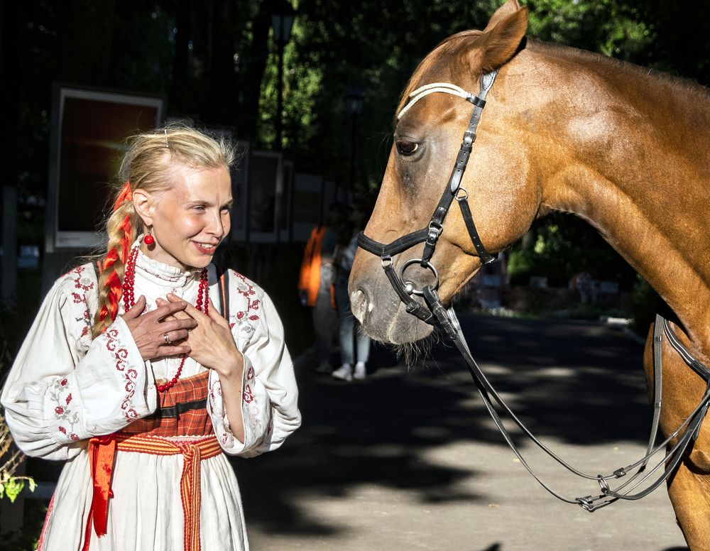 Поговори со мной, лошадка