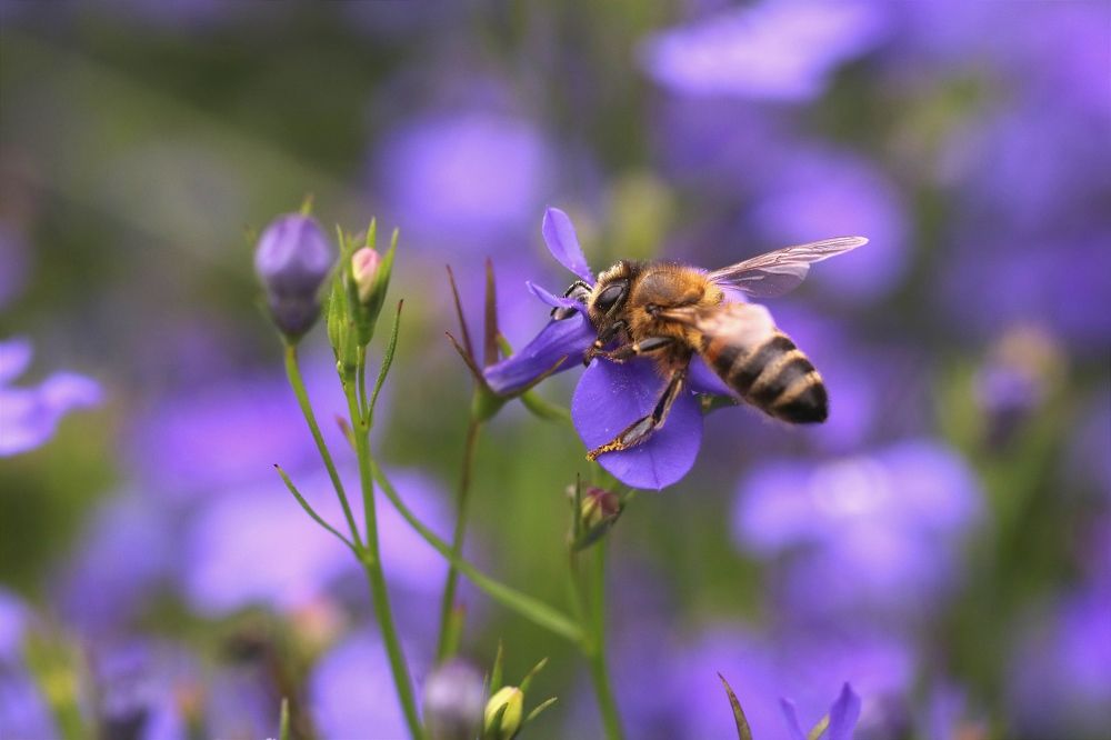 Photograph by Светлана Богомолова