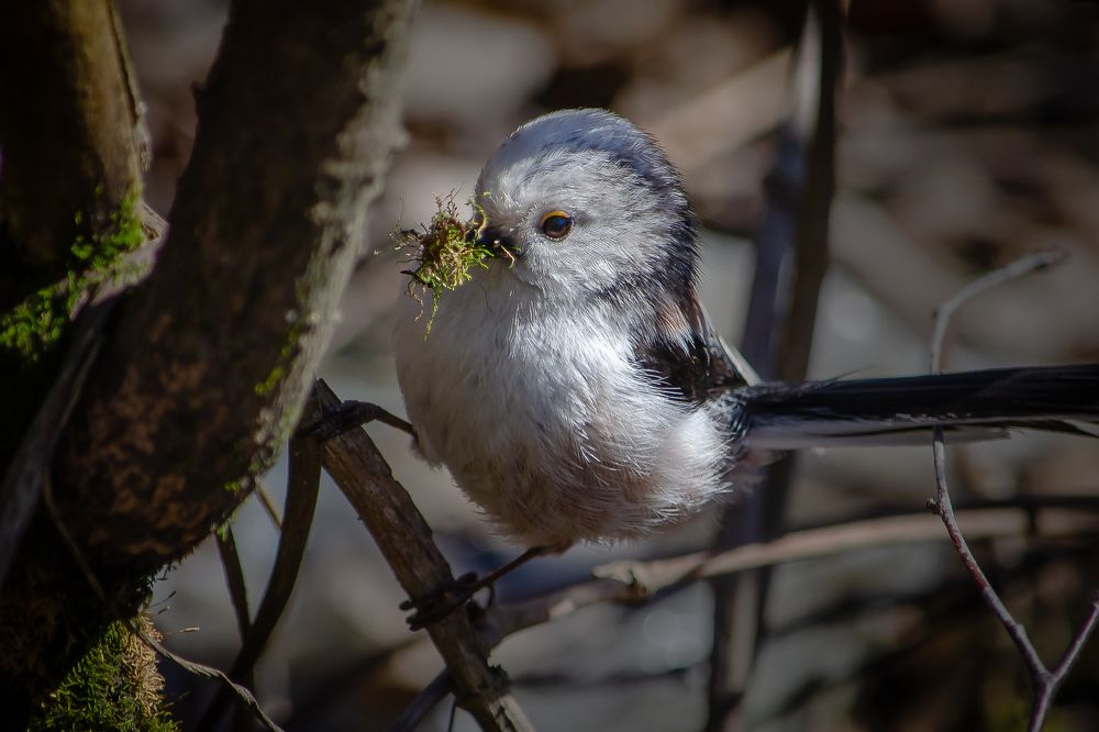Photograph by Оксана Маховская