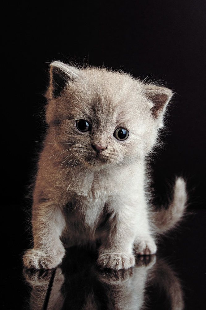 Photograph by Захаров Вячеслав