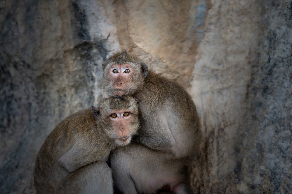 Photograph by Николай Фонарёв