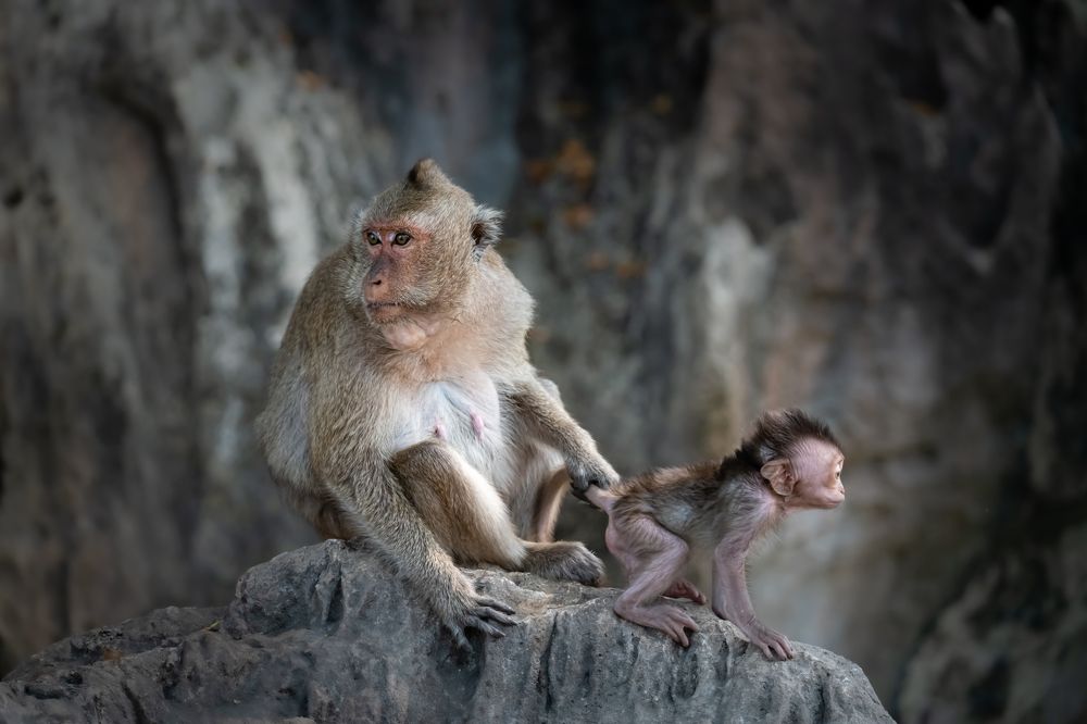 Photograph by Николай Фонарёв