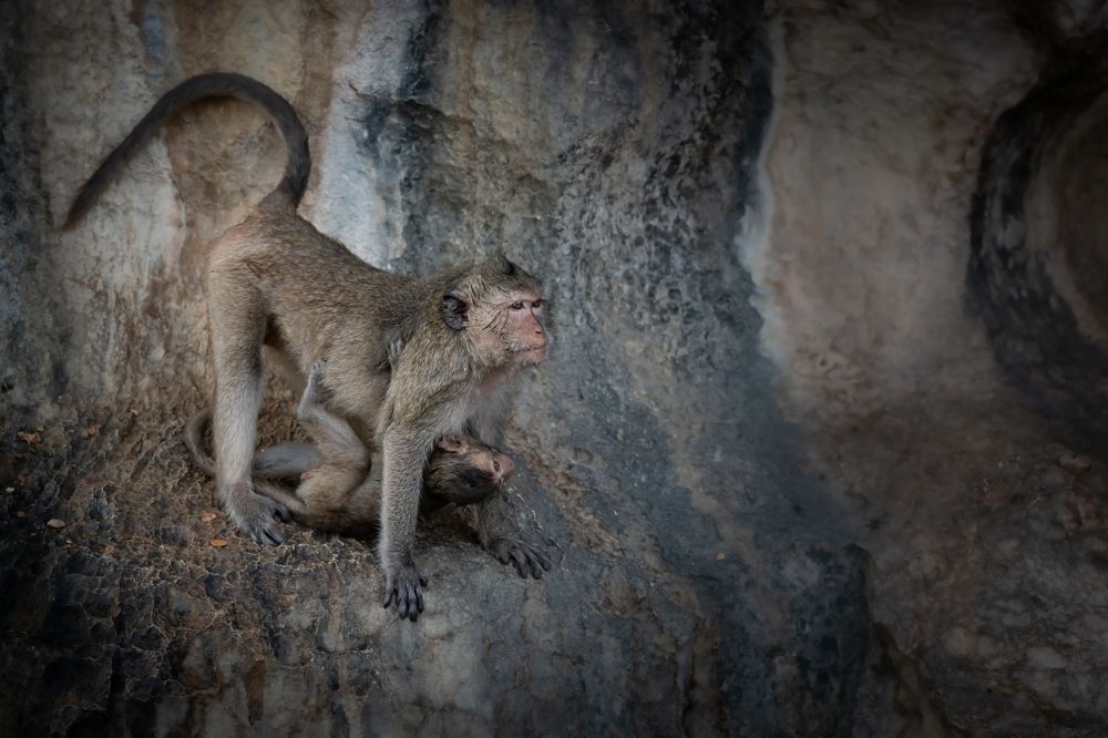 Photograph by Николай Фонарёв