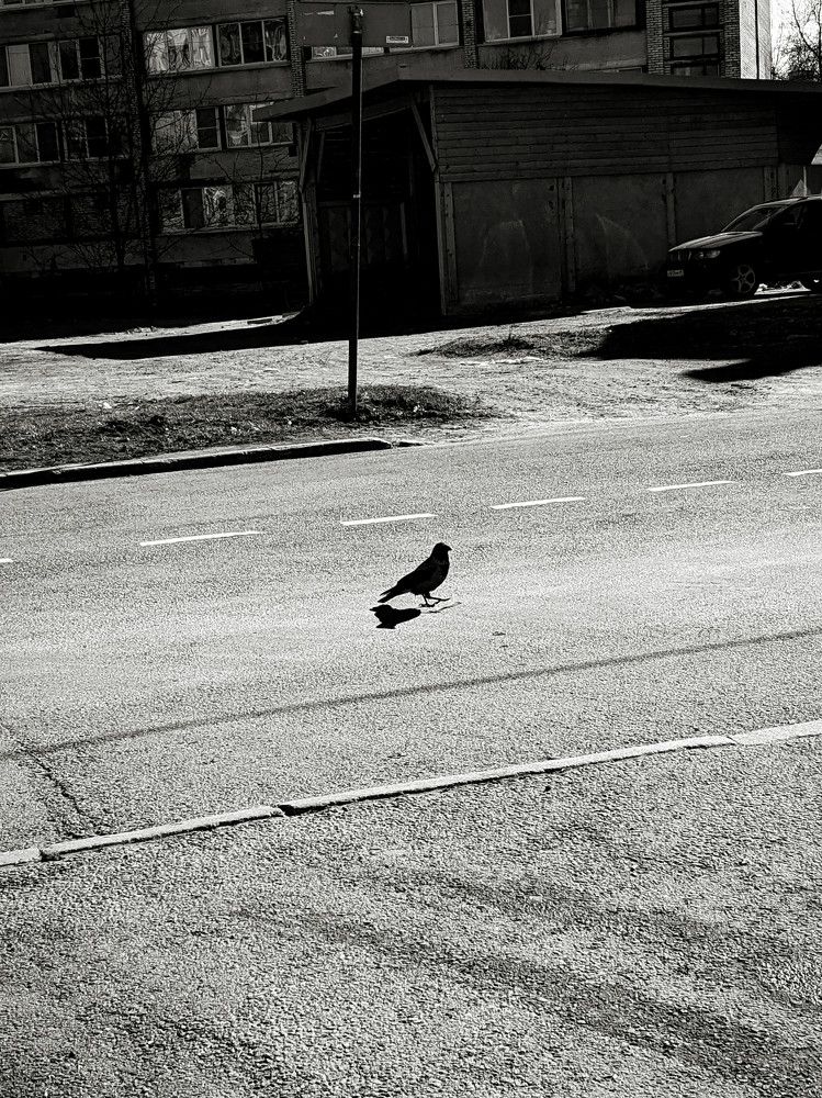 Photograph by Дарья Макаревич