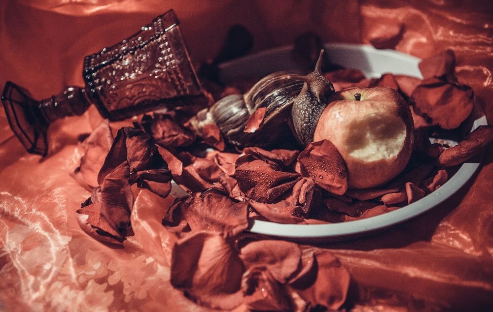 Photograph by Юлия Ляшенко