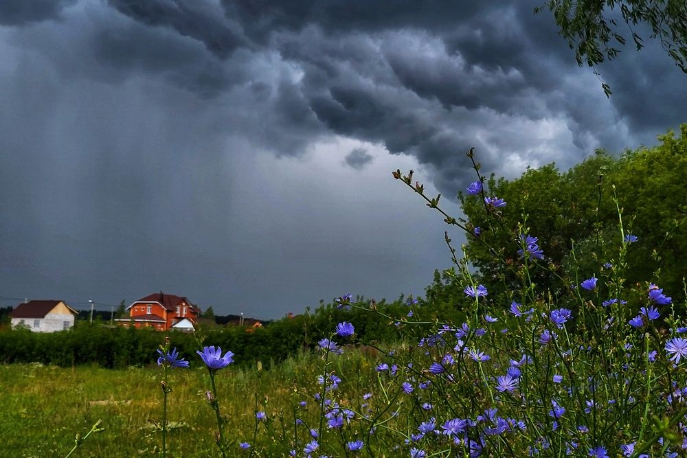 Photograph by Marina Gritchina