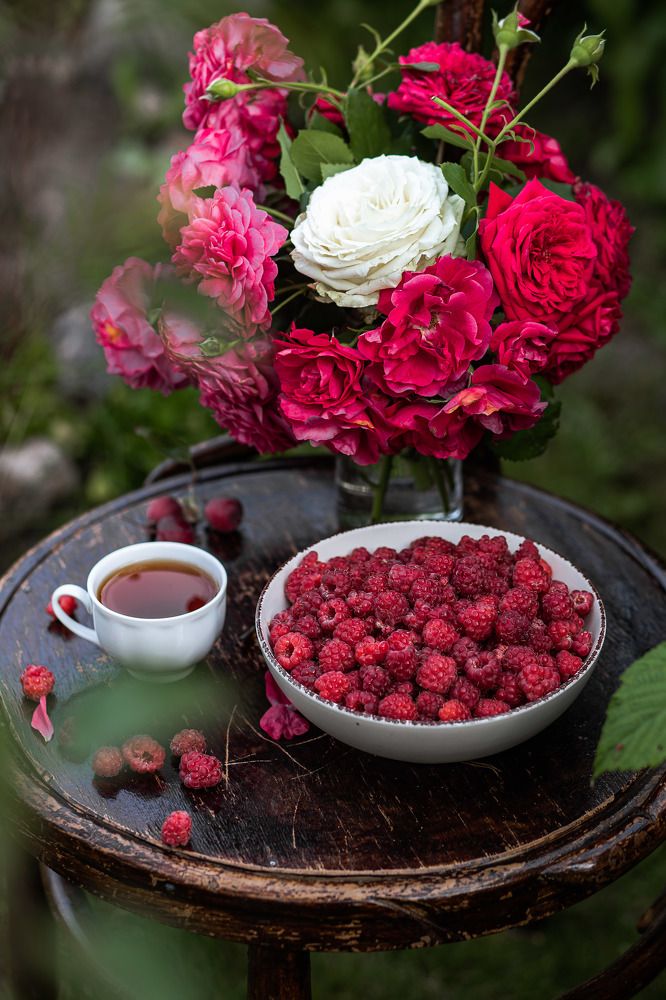 Photograph by Папанова Юлия