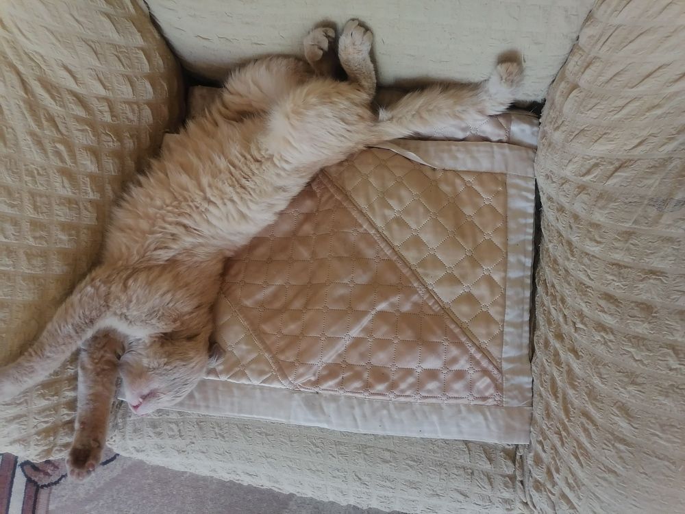 Фотография автора Виталий Дузь