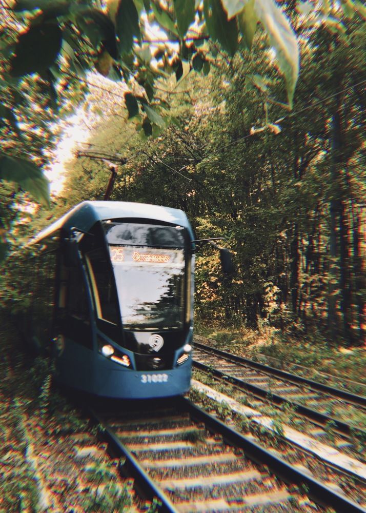 Photograph by Никита Петров