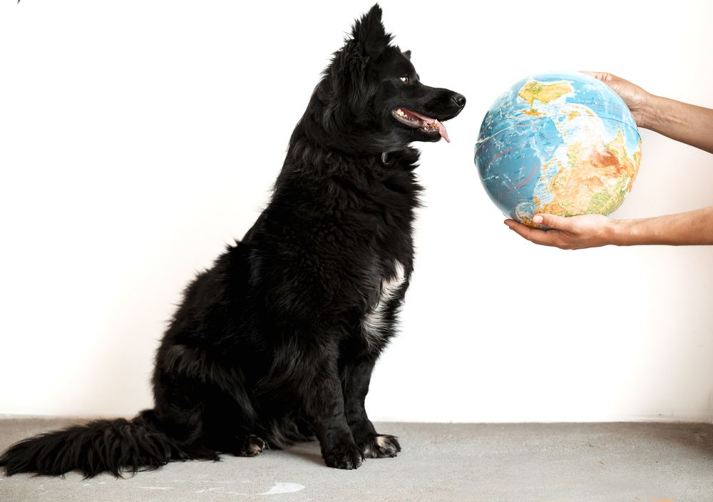 Photograph by Марьям Цимбельман