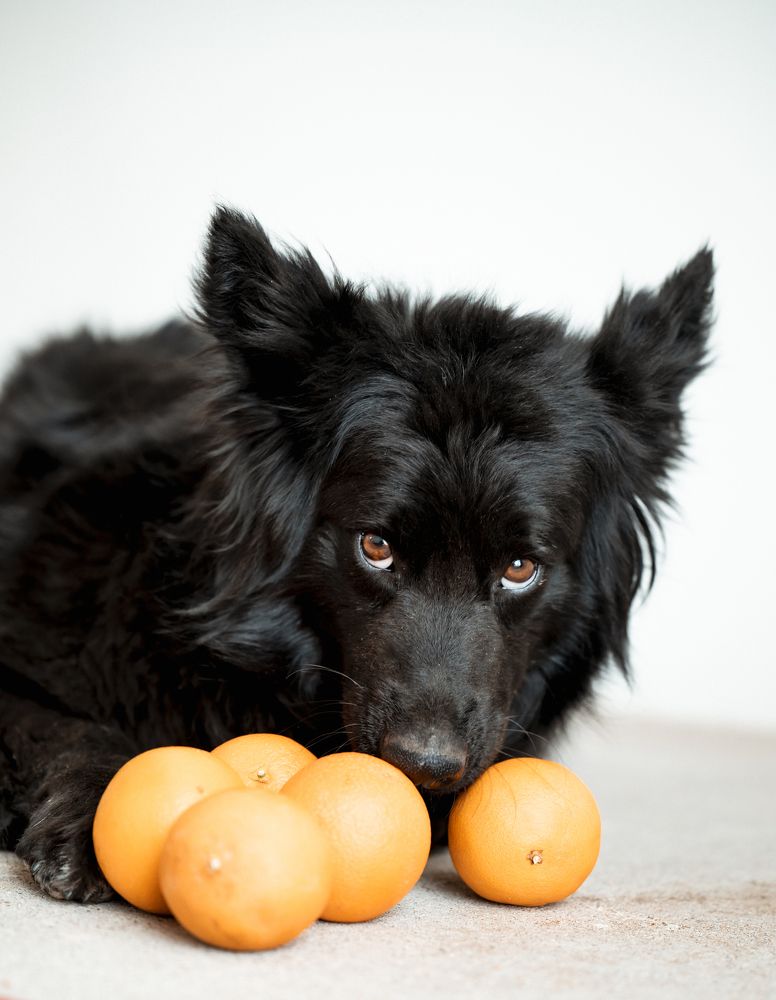 Photograph by Марьям Цимбельман