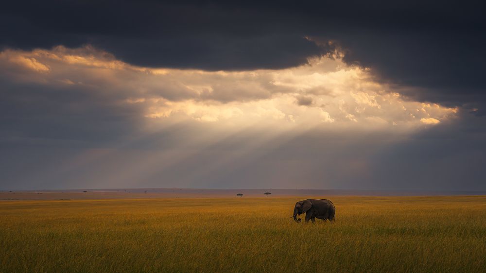 Photograph by Jayakumar MN