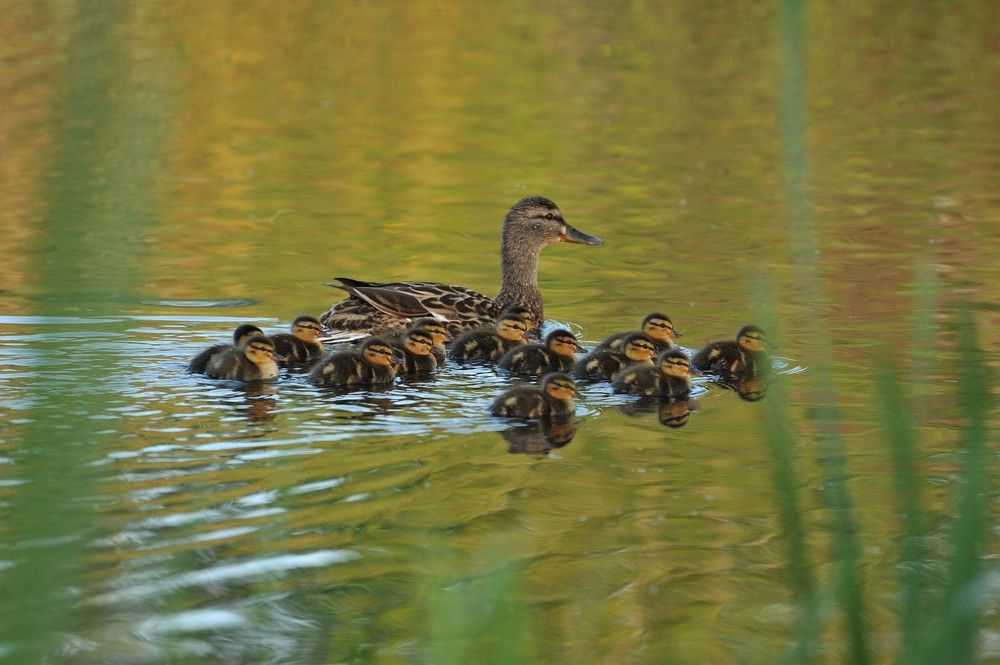 Photograph by Юрий Яковлев
