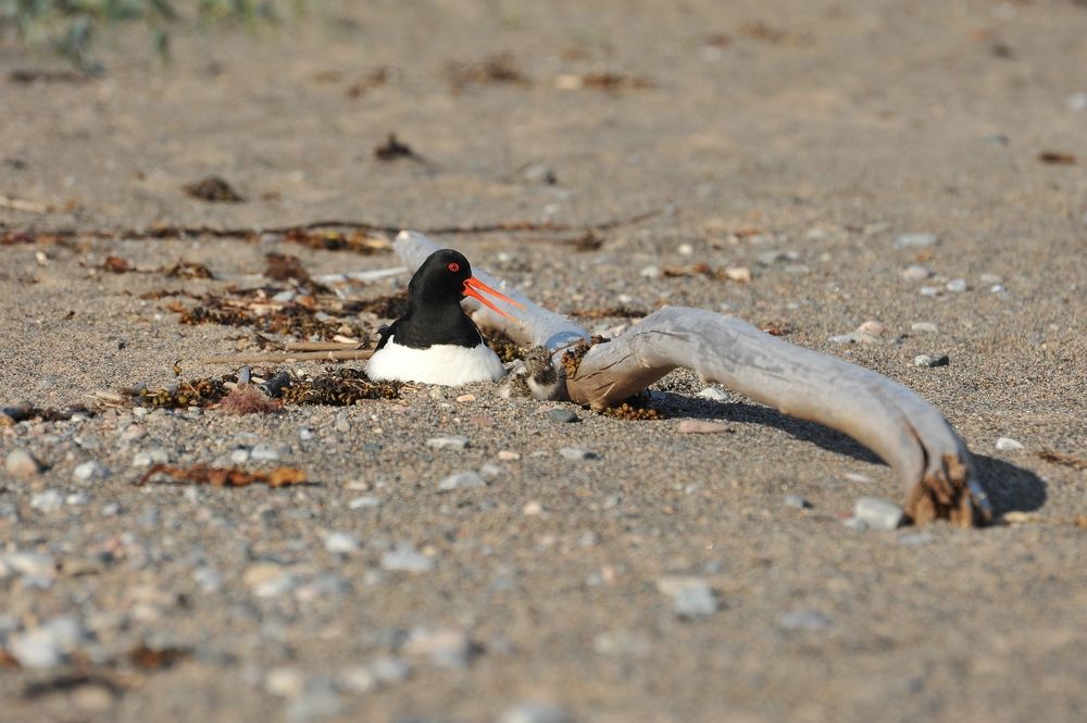 Photograph by Юрий Яковлев