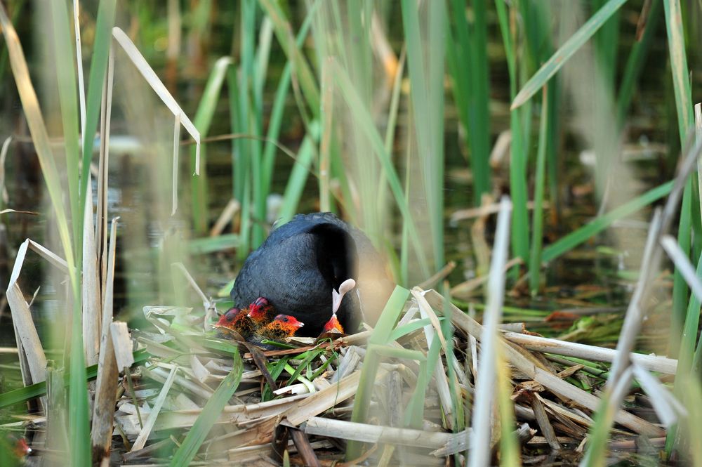 Photograph by Юрий Яковлев