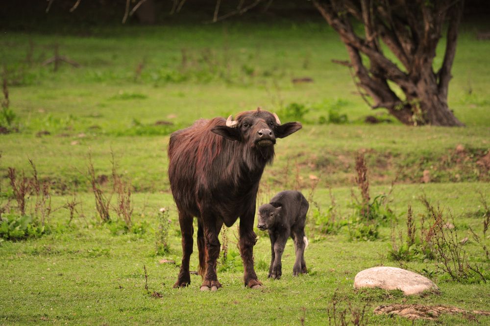 Photograph by Юрий Яковлев