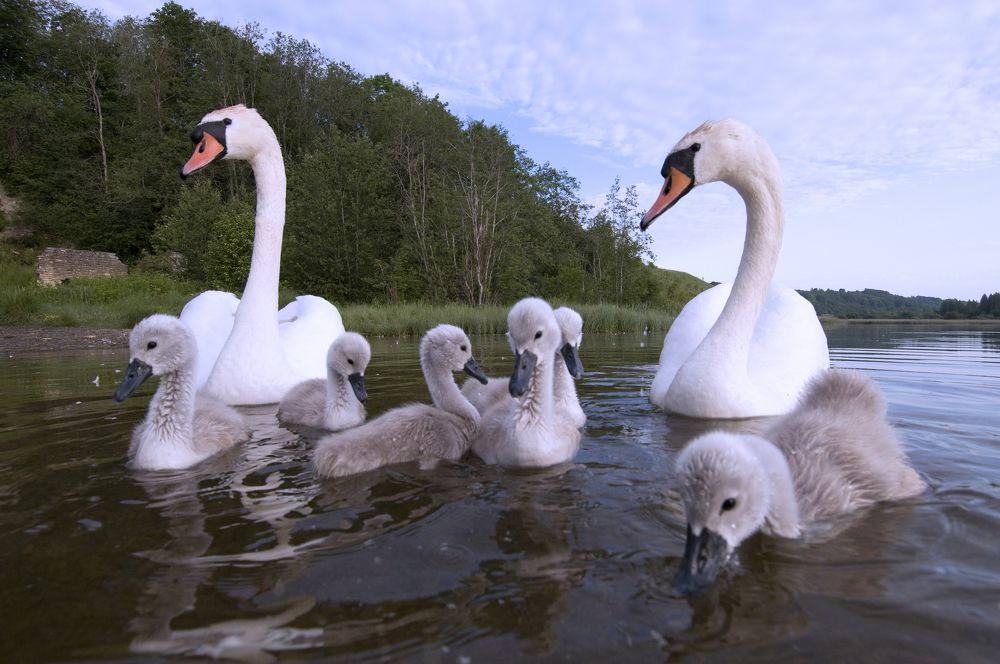 Photograph by Юрий Яковлев